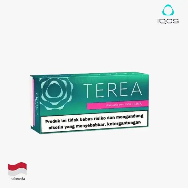 【黑薄荷】亞洲版Indonesia印尼ILUMA煙彈 IQOS ILUMA專用 整條10包 三天到貨:圖片 3
